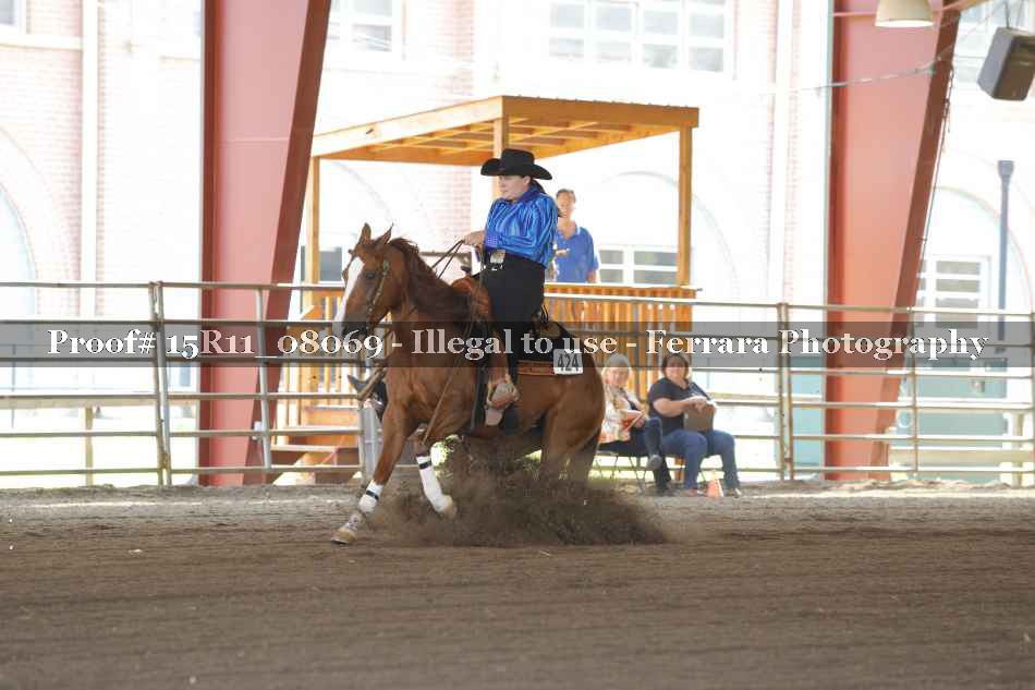 Proof 15R11_08069