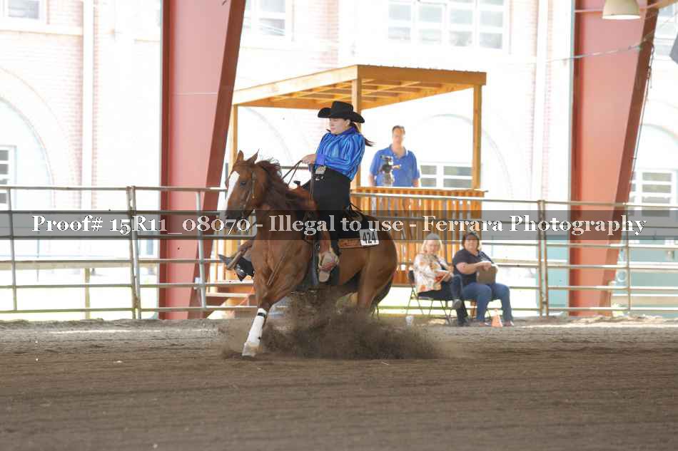 Proof 15R11_08070