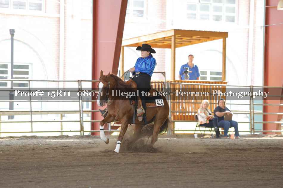 Proof 15R11_08071