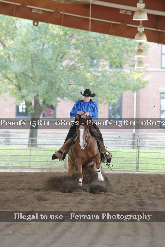 Proof 15R11_08072
