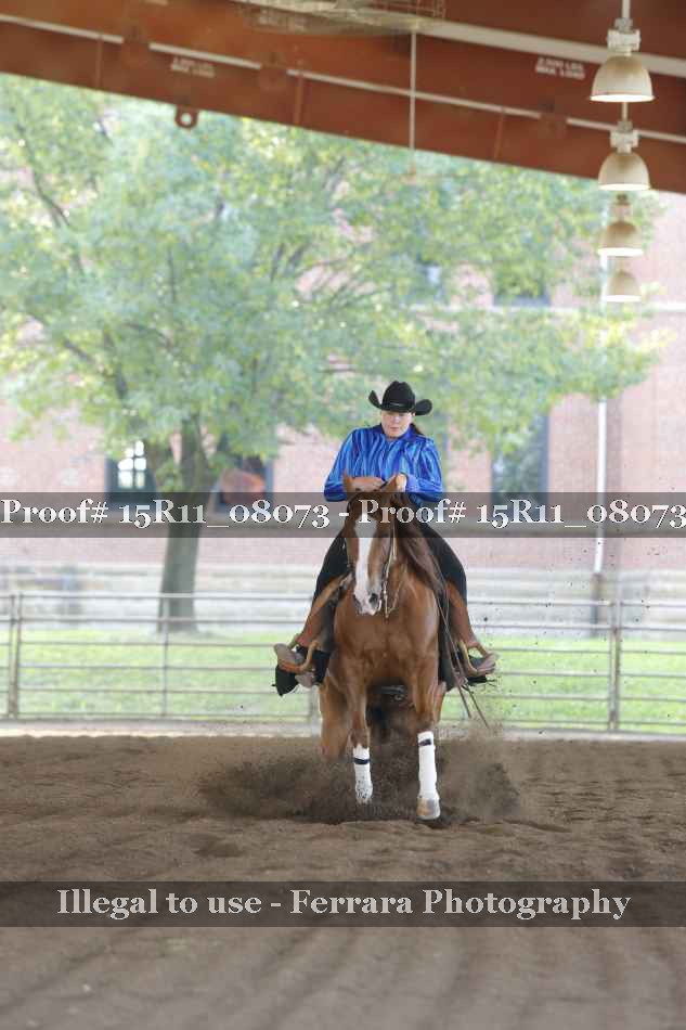 Proof 15R11_08073