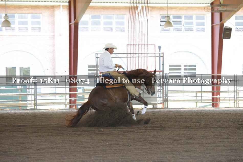 Proof 15R11_08074