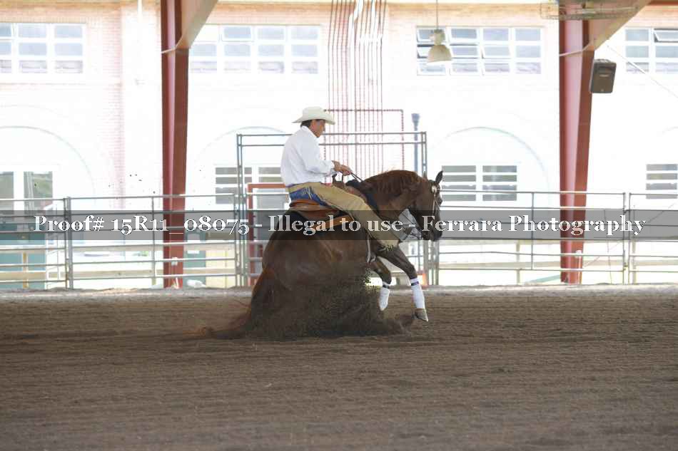 Proof 15R11_08075