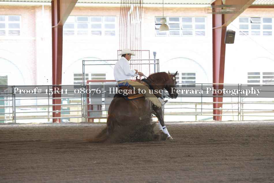 Proof 15R11_08076
