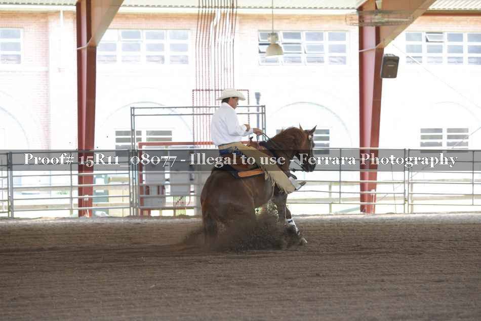 Proof 15R11_08077