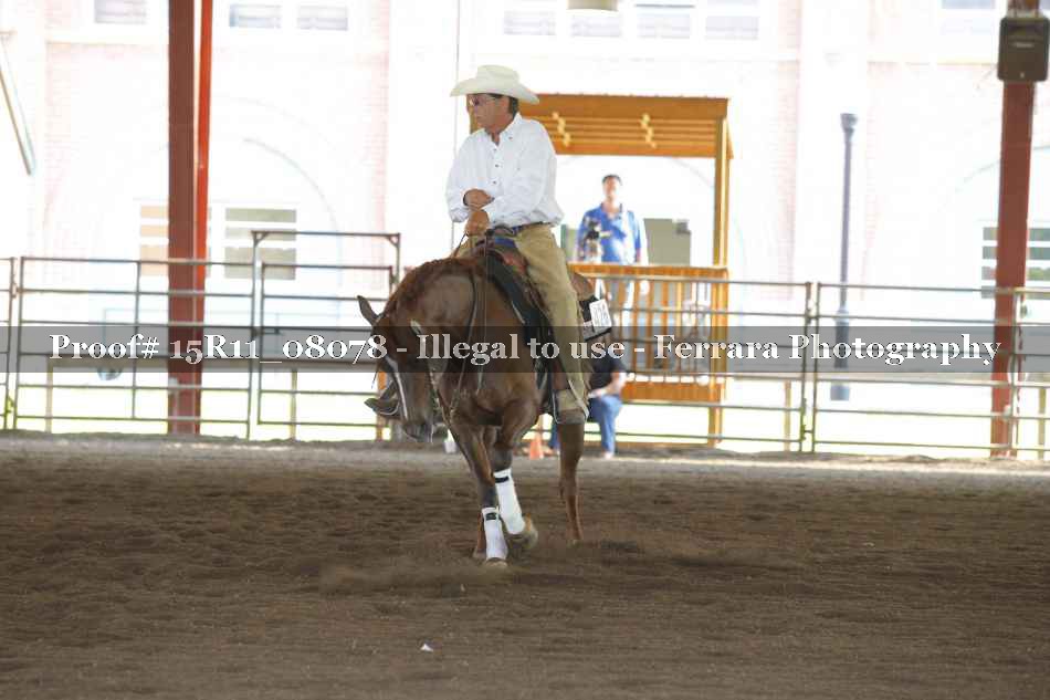Proof 15R11_08078