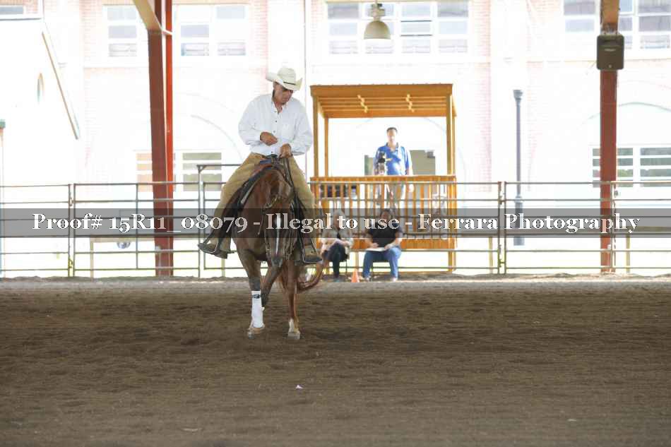 Proof 15R11_08079