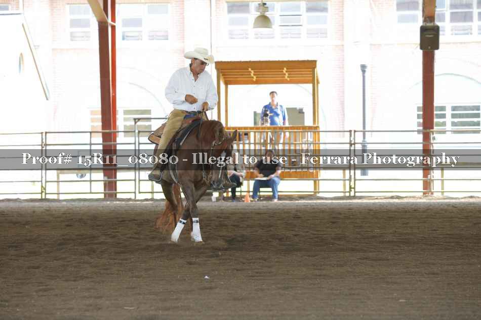 Proof 15R11_08080