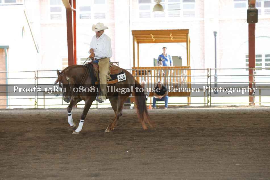 Proof 15R11_08081