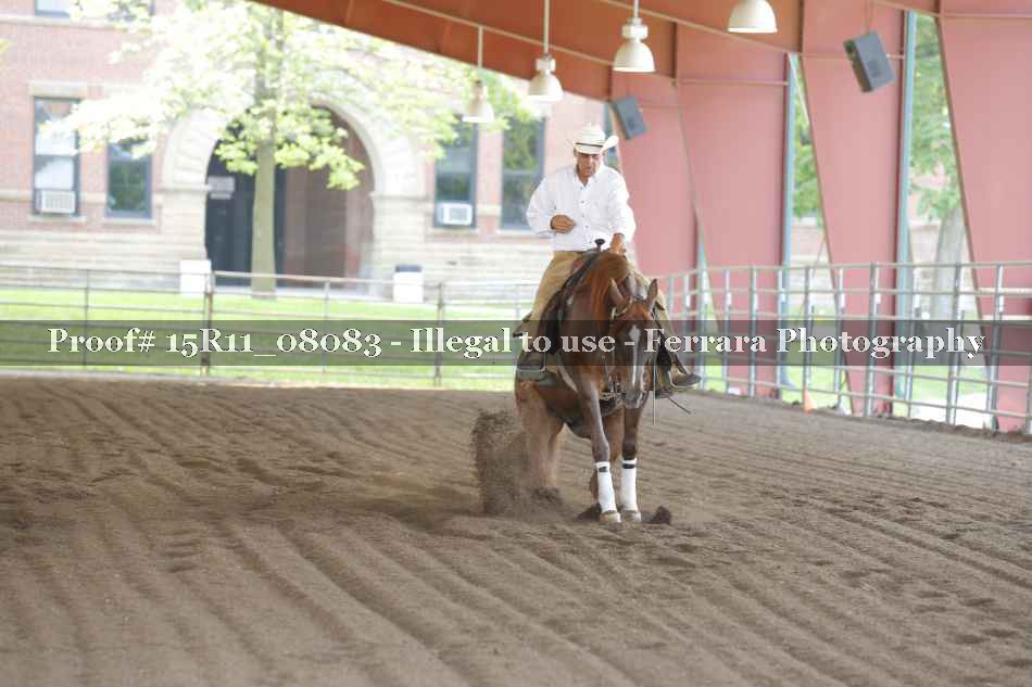 Proof 15R11_08083