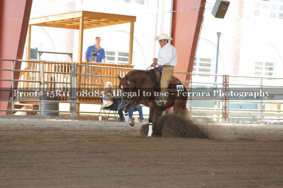 Proof 15R11_08085