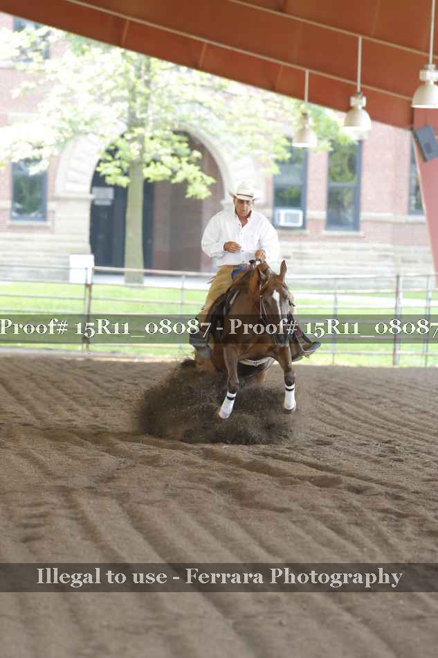 Proof 15R11_08087