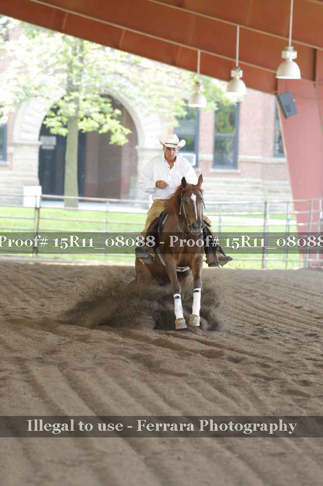 Proof 15R11_08088