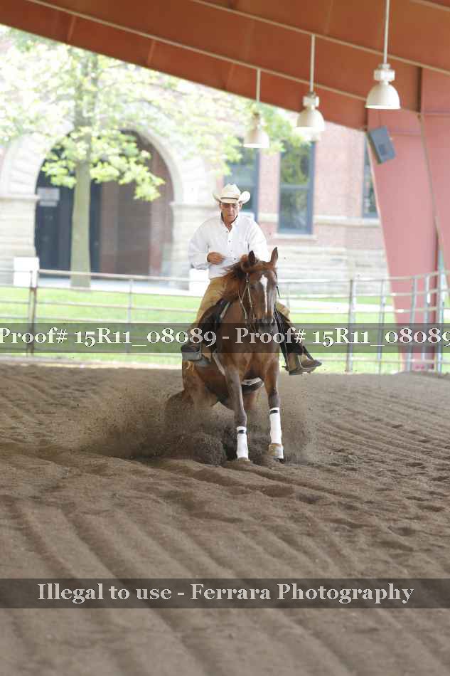 Proof 15R11_08089