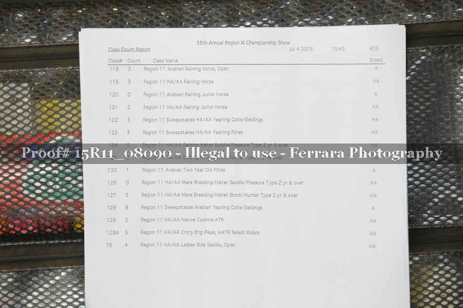 Proof 15R11_08090