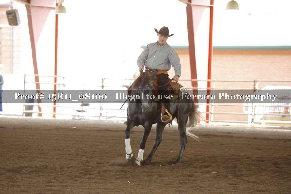 Proof 15R11_08100