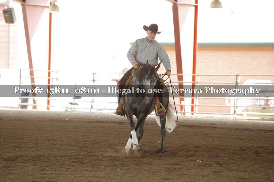 Proof 15R11_08101