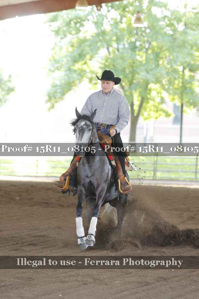 Proof 15R11_08105