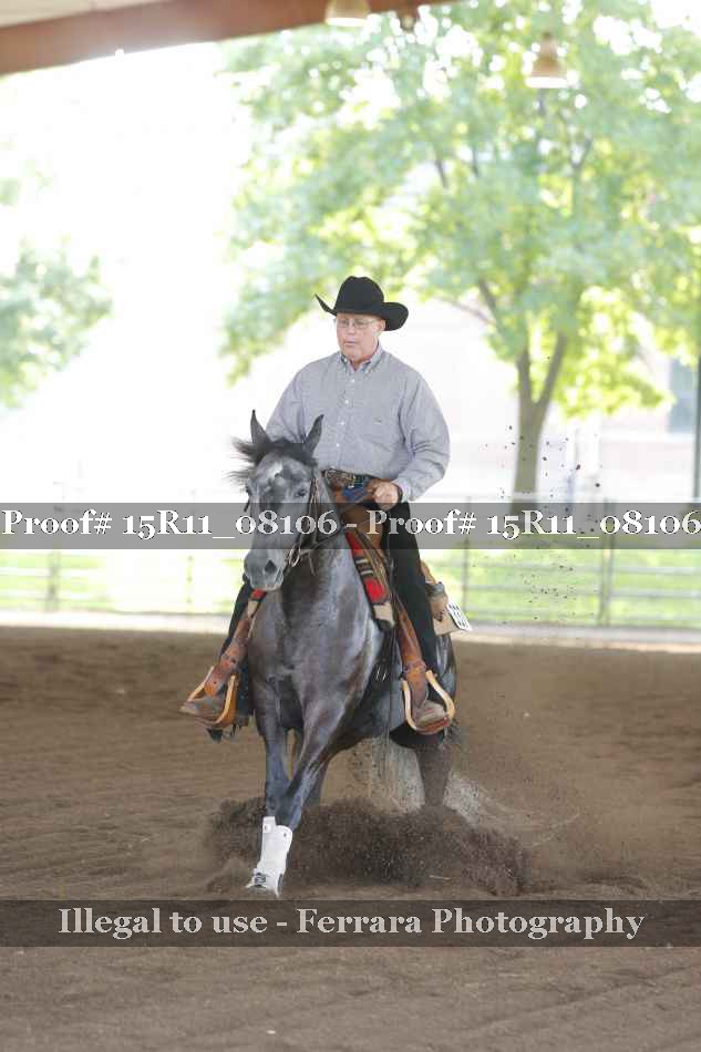 Proof 15R11_08106