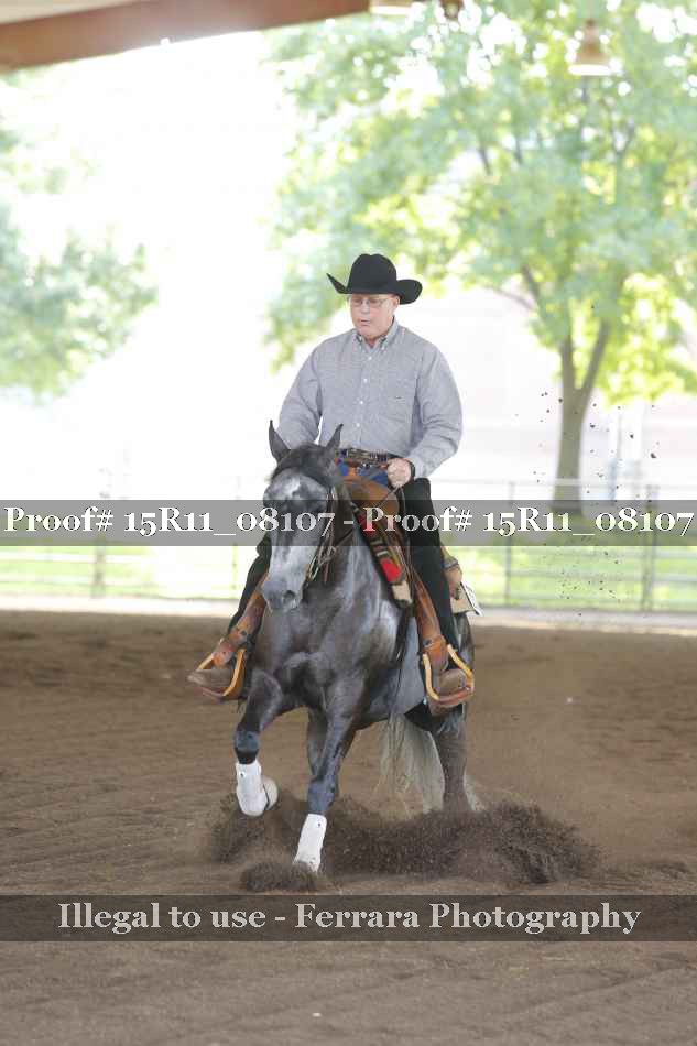 Proof 15R11_08107