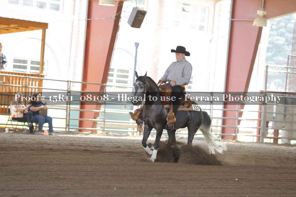 Proof 15R11_08108