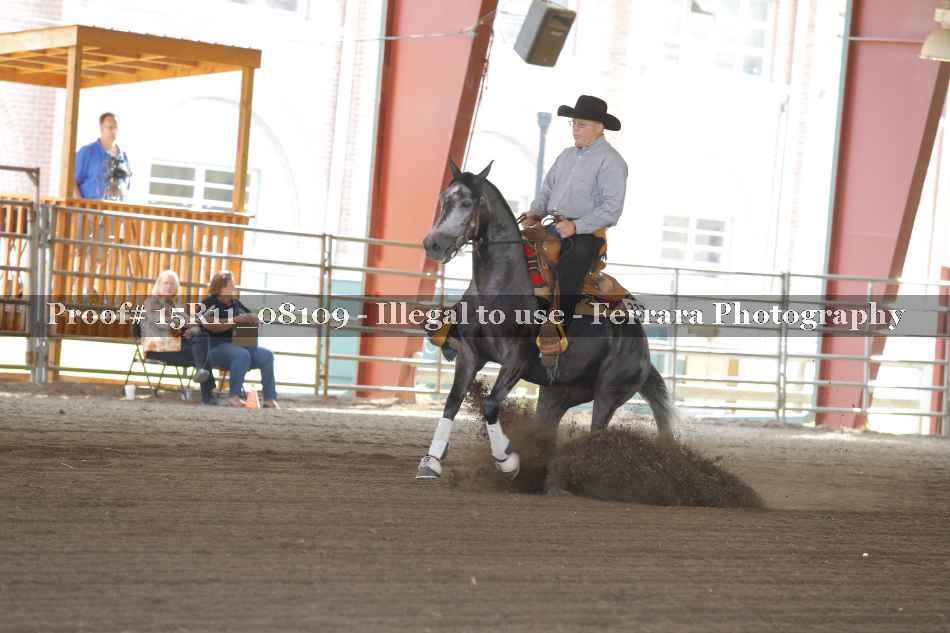 Proof 15R11_08109