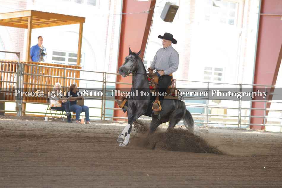 Proof 15R11_08110