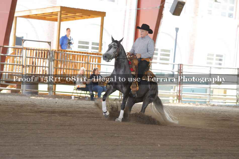 Proof 15R11_08111
