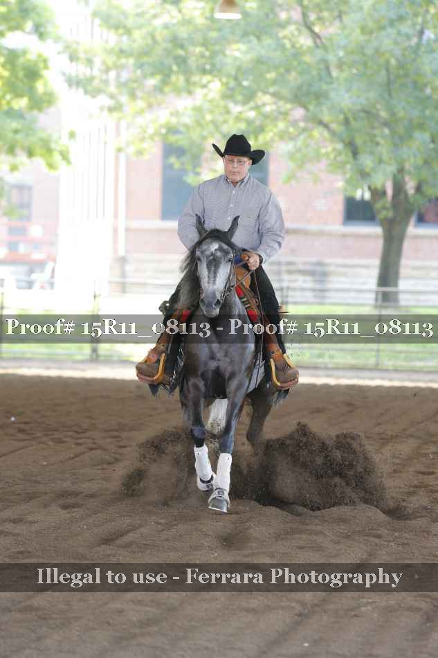Proof 15R11_08113