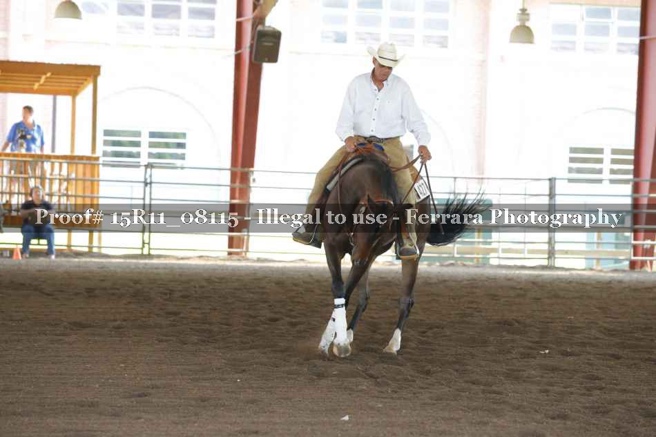 Proof 15R11_08115
