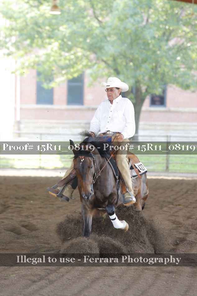 Proof 15R11_08119