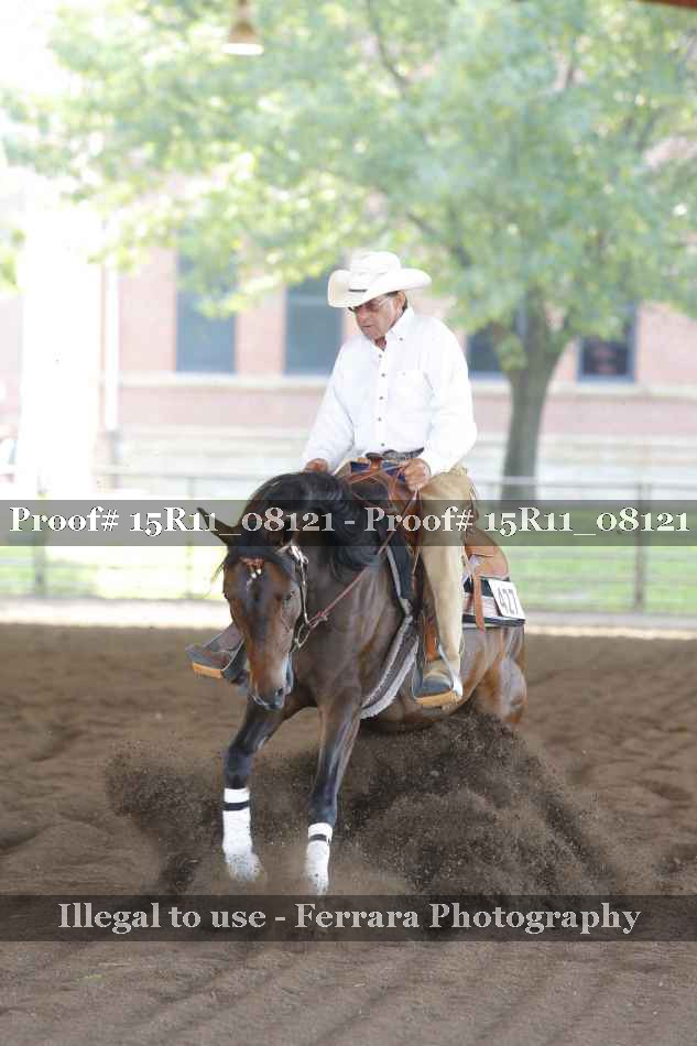 Proof 15R11_08121