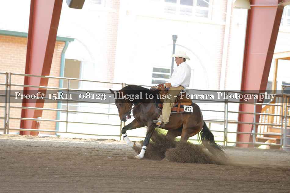 Proof 15R11_08123