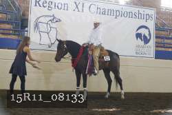 15R11_08133 proof