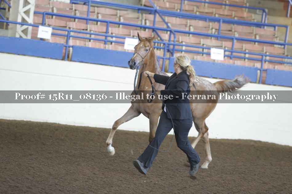 Proof 15R11_08136