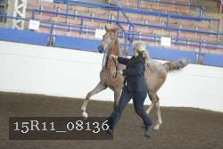 15R11_08136 proof