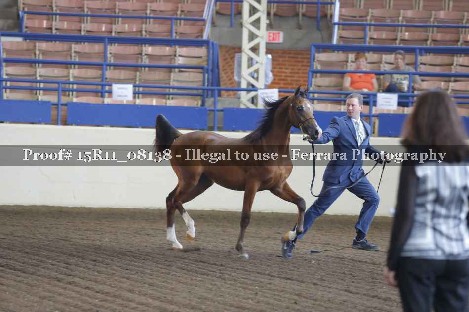 Proof 15R11_08138