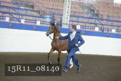 15R11_08140 proof