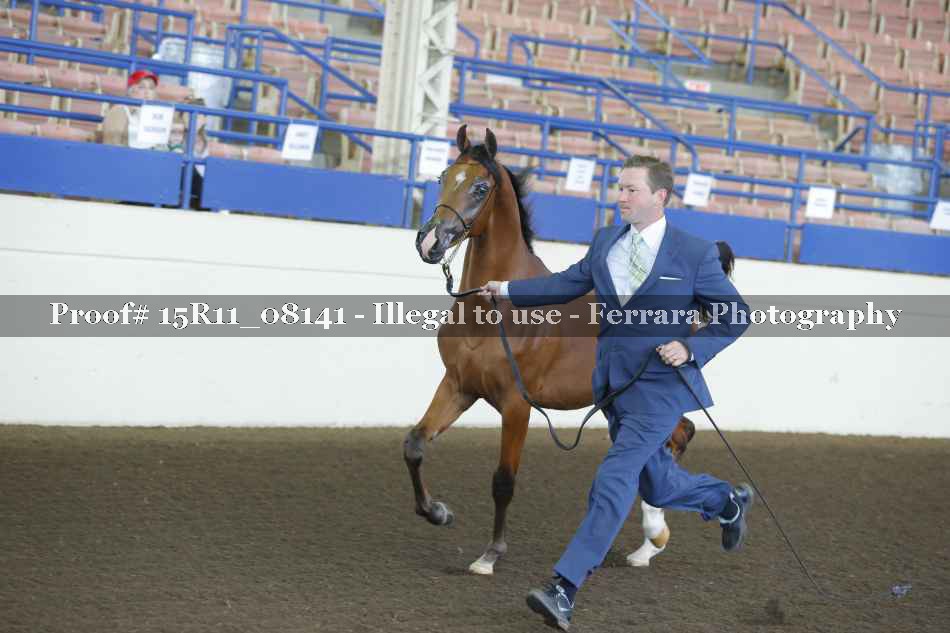 Proof 15R11_08141