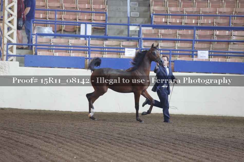 Proof 15R11_08142