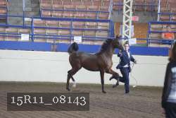 15R11_08143 proof