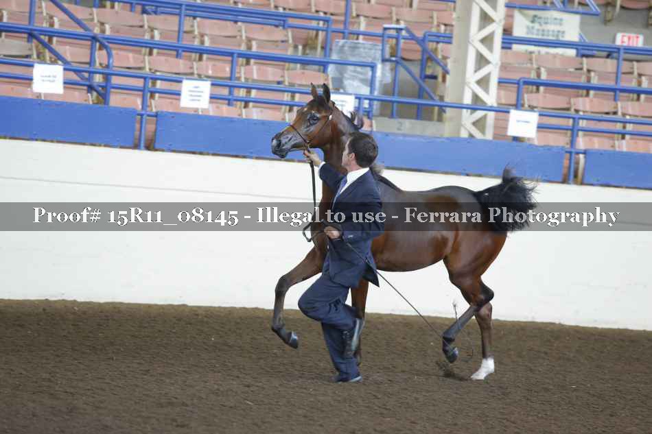 Proof 15R11_08145