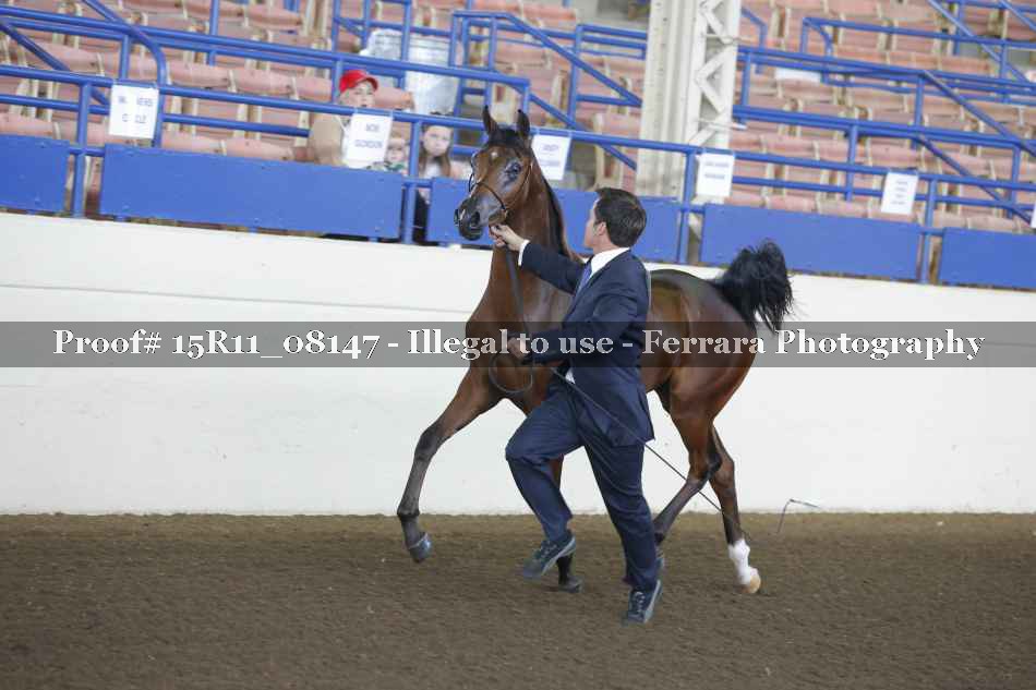 Proof 15R11_08147
