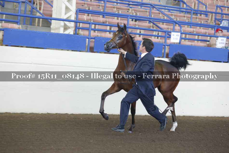 Proof 15R11_08148