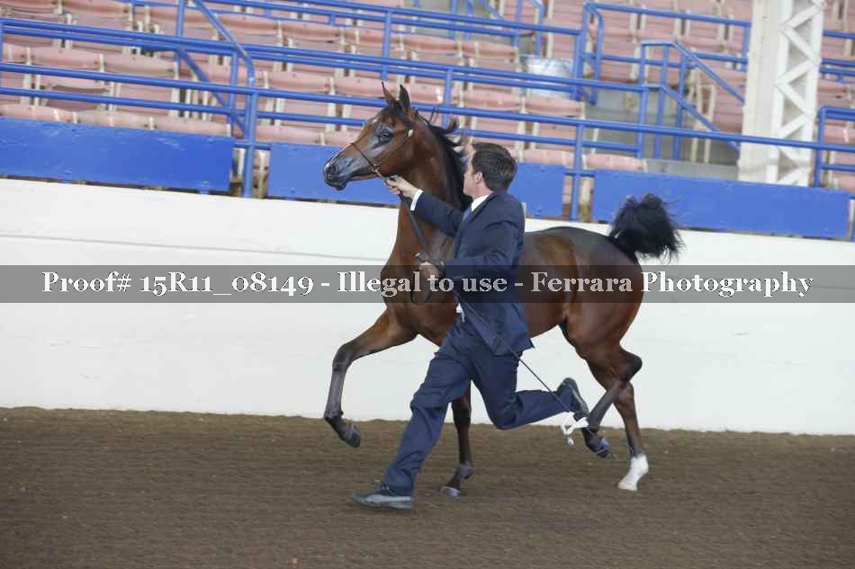 Proof 15R11_08149