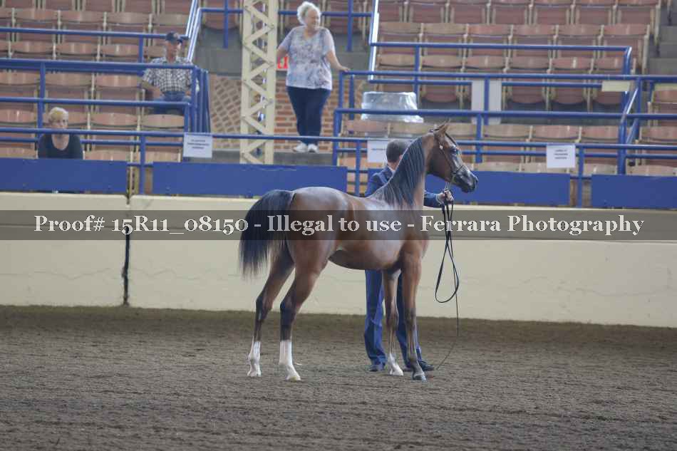 Proof 15R11_08150