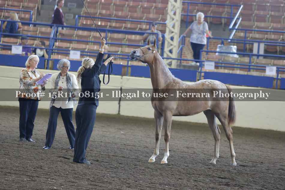 Proof 15R11_08151