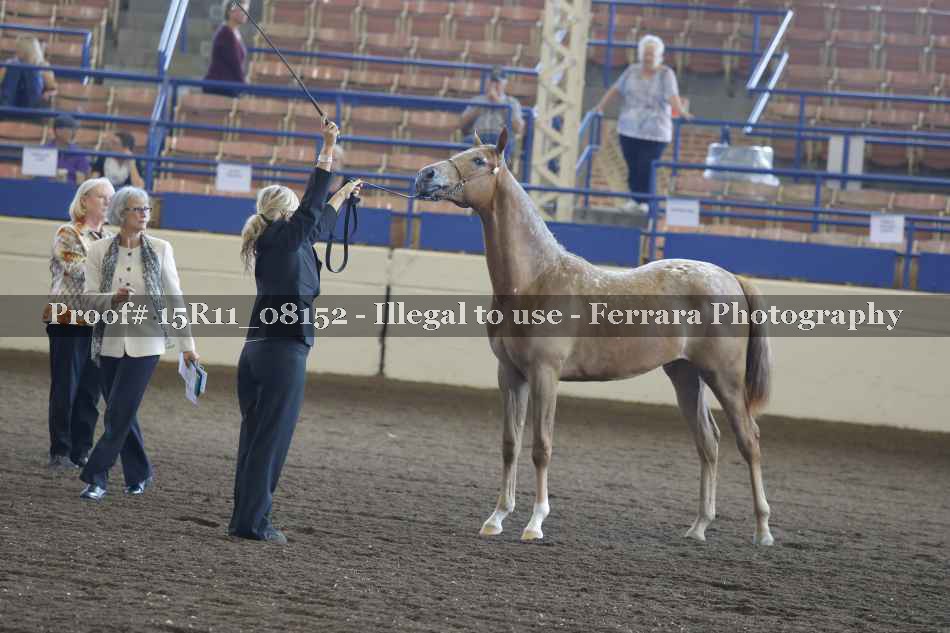 Proof 15R11_08152
