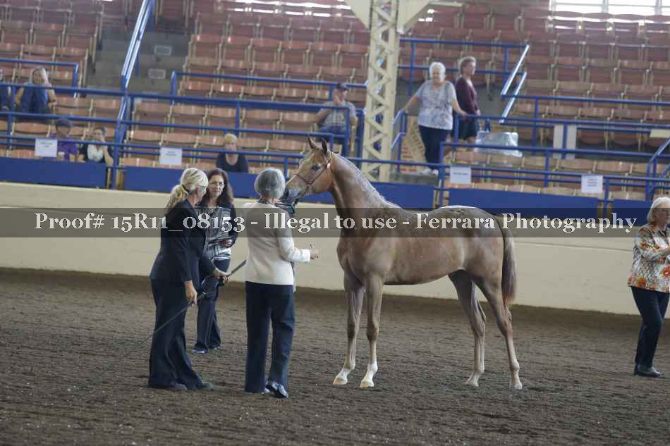 Proof 15R11_08153