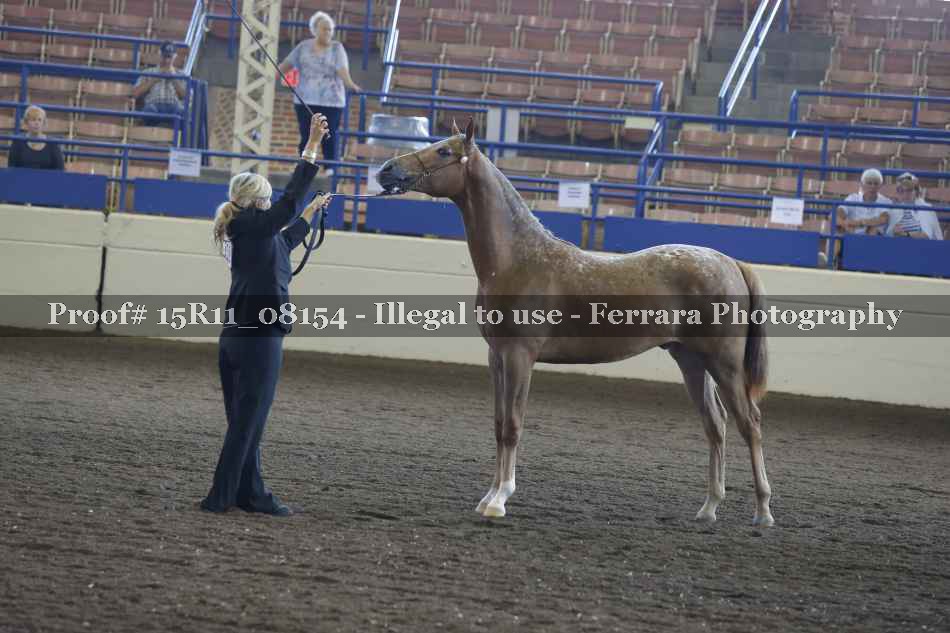 Proof 15R11_08154